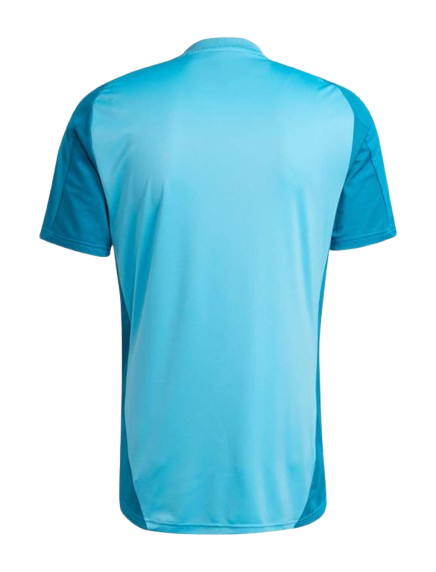 Camisa Flamengo Treino 2025 Adidas - Azul Claro