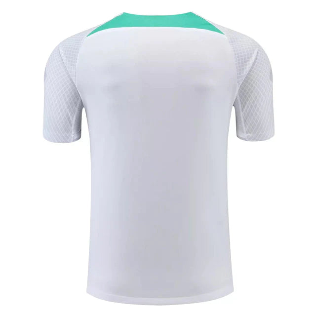 Camisa de Treino Inter de Milão 22/23 Nike - Cinza